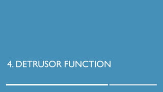 4. DETRUSOR FUNCTION
59
DEPT OF UROLOGY, GRH AND KMC, CHENNAI.
 