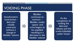 VOIDING PHASE
Isovolumetric
contraction -
detrusor
initially
contracts
without a
change in
bladder volume
Bladder
continues to
contract -
Bladder outlet
‘opens’ and
urine begins to
be expelled
resulting in a
decrease in the
bladder volume
At the
completion of
voiding the
detrusor
relaxes and the
urethra/bladder
outlet ‘closes’
75
DEPT OF UROLOGY, GRH AND KMC, CHENNAI.
 