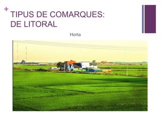 +
TIPUS DE COMARQUES:
DE LITORAL
Horta
 