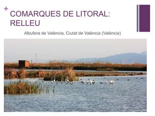 +
COMARQUES DE LITORAL:
RELLEU
Albufera de València, Ciutat de València (València)
 