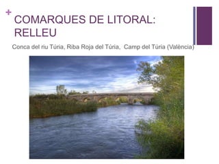 +
COMARQUES DE LITORAL:
RELLEU
Conca del riu Túria, Riba Roja del Túria, Camp del Túria (València)
 