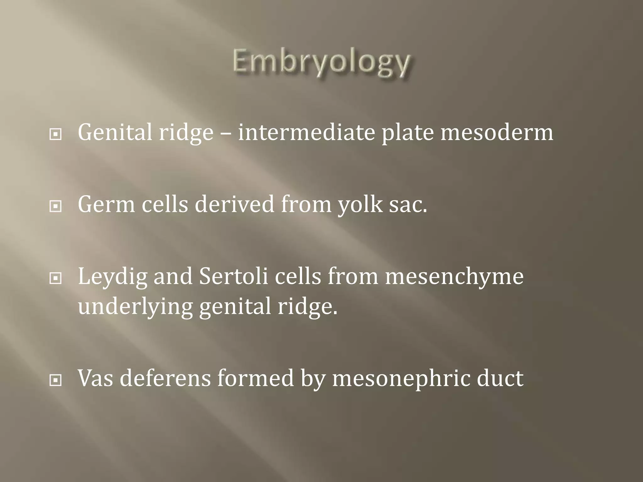  Genital ridge – intermediate plate mesoderm
 Germ cells derived from yolk sac.
 Leydig and Sertoli cells from mesenchyme
underlying genital ridge.
 Vas deferens formed by mesonephric duct
 