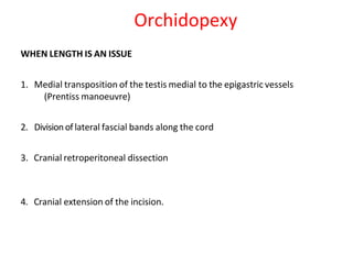 WHEN LENGTH IS AN ISSUE
1. Medial transposition of the testis medial to the epigastric vessels
(Prentiss manoeuvre)
2. Divisionof lateral fascial bands along the cord
3. Cranial retroperitoneal dissection
4. Cranial extension of the incision.
Orchidopexy
 