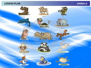 LESSON PLAN   ANIMALS
 