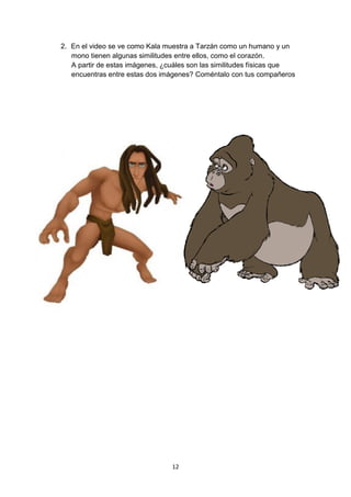 2. En el video se ve como Kala muestra a Tarzán como un humano y un
mono tienen algunas similitudes entre ellos, como el corazón.
A partir de estas imágenes, ¿cuáles son las similitudes físicas que
encuentras entre estas dos imágenes? Coméntalo con tus compañeros

12

 