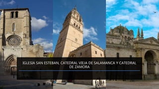 IGLESIA SAN ESTEBAN, CATEDRAL VIEJA DE SALAMANCA Y CATEDRAL
DE ZAMORA
 