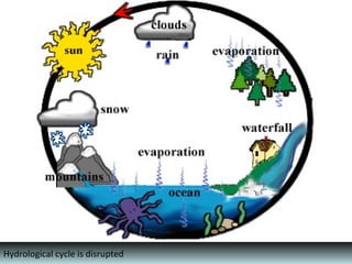 Hydrological cycle is disrupted
 