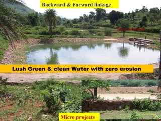Micro watersheds
Micro projects
Backward & Forward linkage
Lush Green & clean Water with zero erosion
 