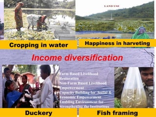 Farm Based Livelihood
Restoration
Non-Farm Based Livelihood
Empowerment
Capacity Building for Social &
Economic Empowerment
Enabling Environment for
Strengthening the Institutions
Income diversification
Cropping in water
Fish framingDuckery
Happiness in harveting
 