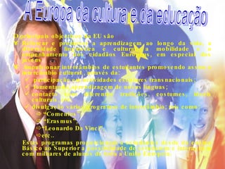 O principais objectivos da EU são  Reforçar e promover a aprendizagem ao longo da vida, a diversidade linguística e cultural, a mobilidade e o empenhamento dos cidadãos Europeus, em especial dos jovens.  Impulsionar intercâmbios de estudantes promovendo assim o intercâmbio cultural , através da: participação em actividades escolares transnacionais; fomentando aprendizagem de novas línguas;  contacto com diferentes tradições, costumes, ideais culturais, etc; divulgação vários programas de intercâmbio; tais como: “ Comenius”; “ Erasmus”,  “ Leonardo Da Vinci”,  etc.. Estes programas proporcionam a estudantes desde do ensino Básico ao Superior a possibilidade de estudarem e interagirem com milhares de alunos de toda a União Europeia. A Europa da cultura e da educação  