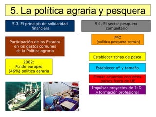 5.3. El principio de solidaridad financiera 5.4. El sector pesquero comunitario Participación de los Estados en los gastos comunes  de la Política agraria 2002: Fondo europeo (46%) política agraria 5. La política agraria y pesquera PPC (política pesquera común) Establecer zonas de pesca Firmar acuerdos con otros países fuera de UE Establecer nº y tamaño Impulsar proyectos de I+D  y formación profesional 