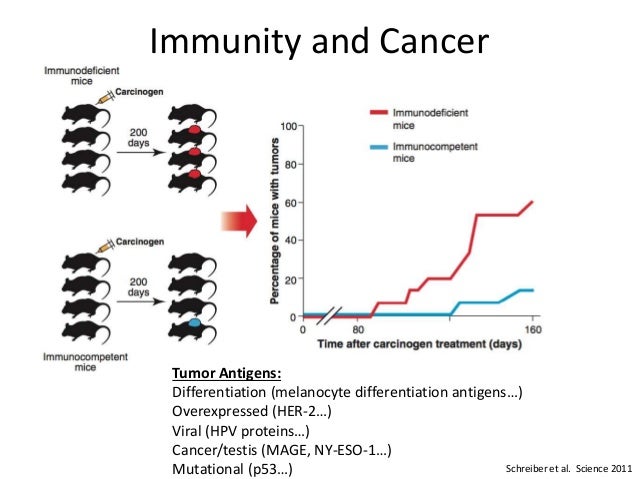 Immunotherapy for Colorectal Cancer
