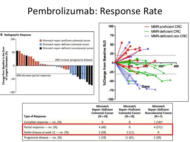 Immunotherapy for Colorectal Cancer