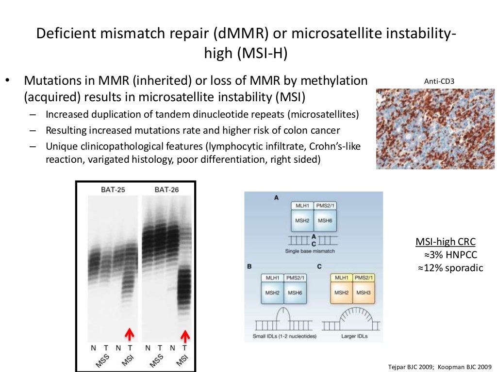 Immunotherapy for Colorectal Cancer