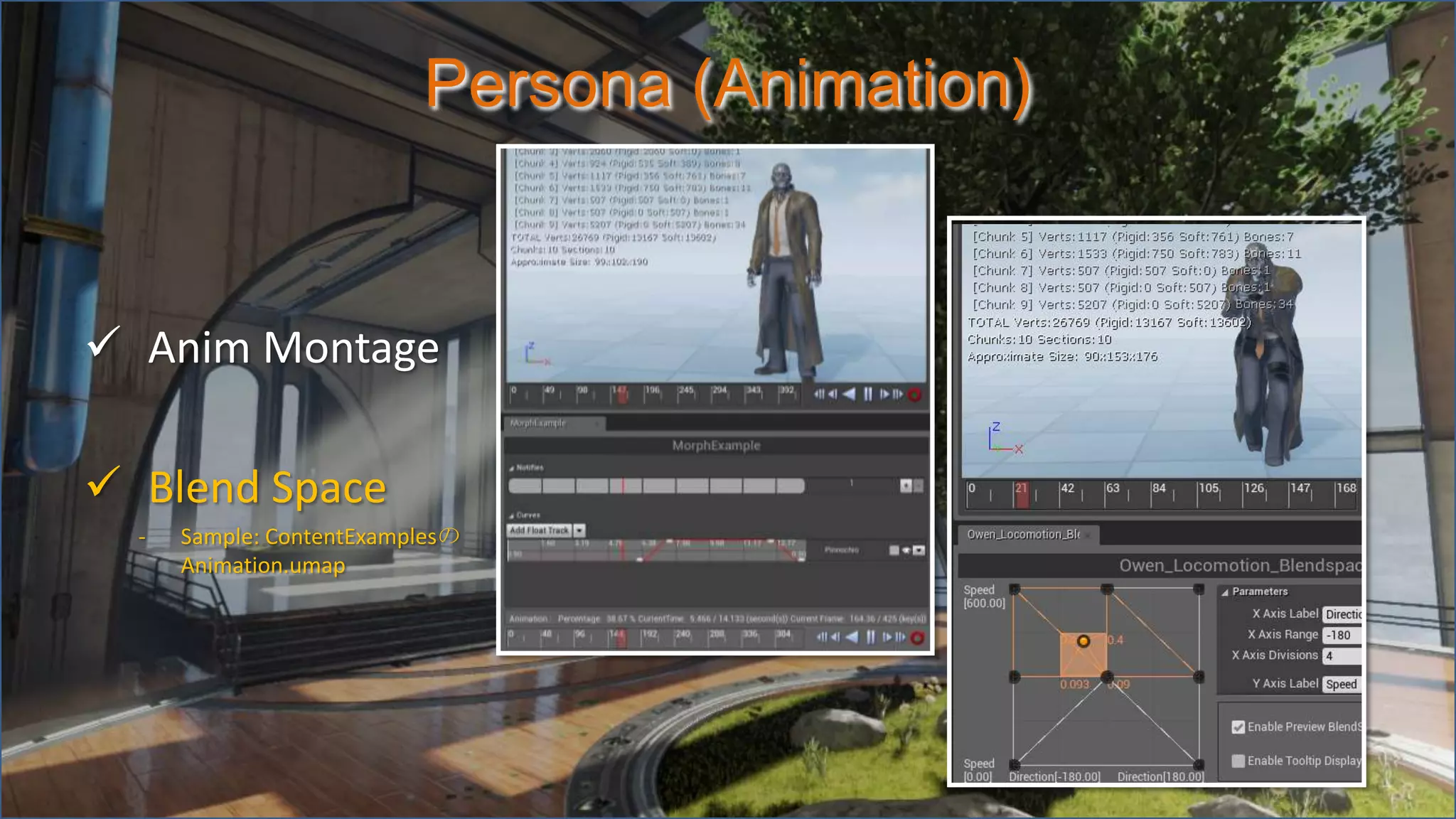Persona (Animation)
 Anim Montage
 Blend Space
- Sample: ContentExamplesの
Animation.umap
 