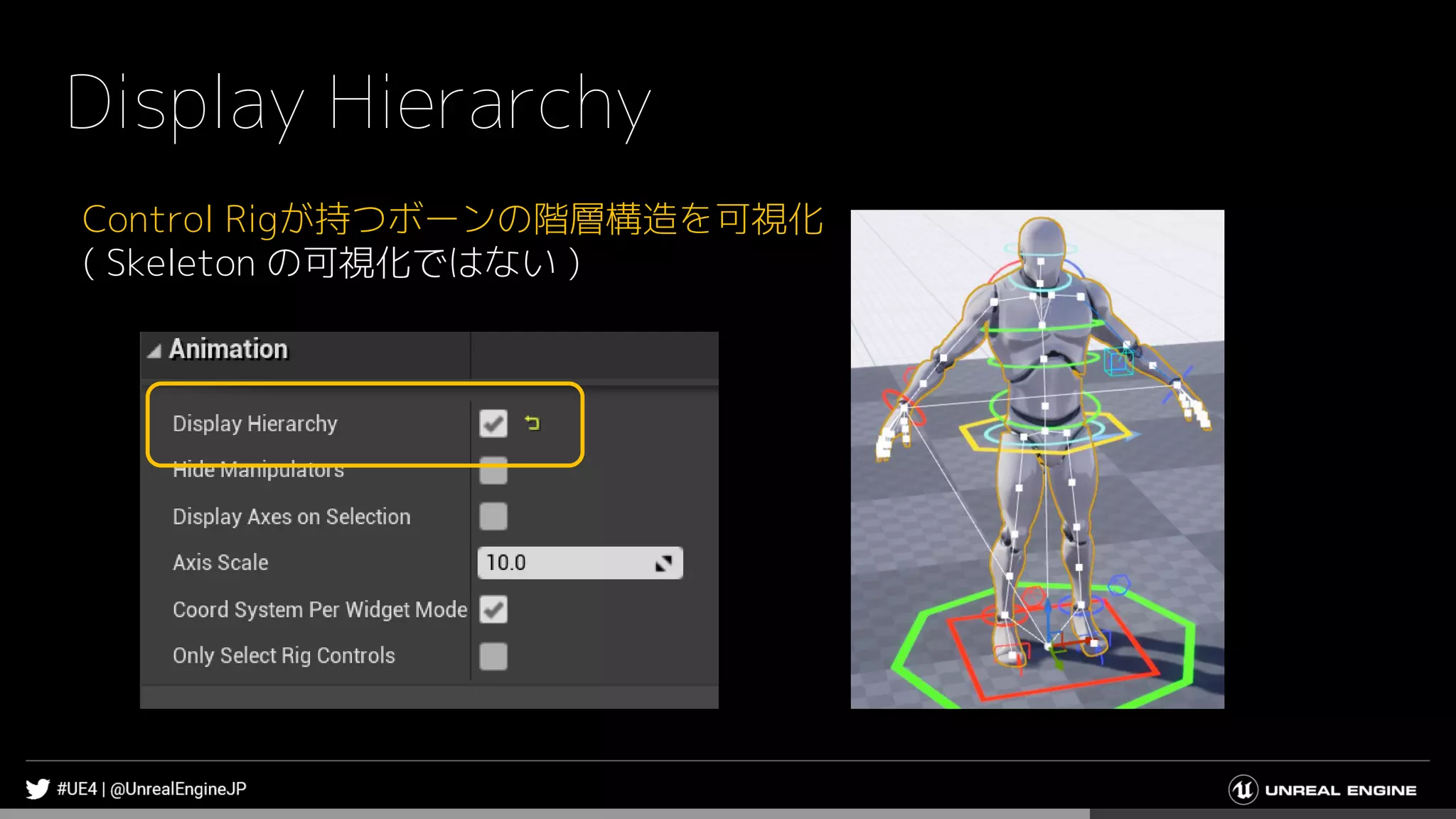 Display Hierarchy
Control Rigが持つボーンの階層構造を可視化
( Skeleton の可視化ではない )
 