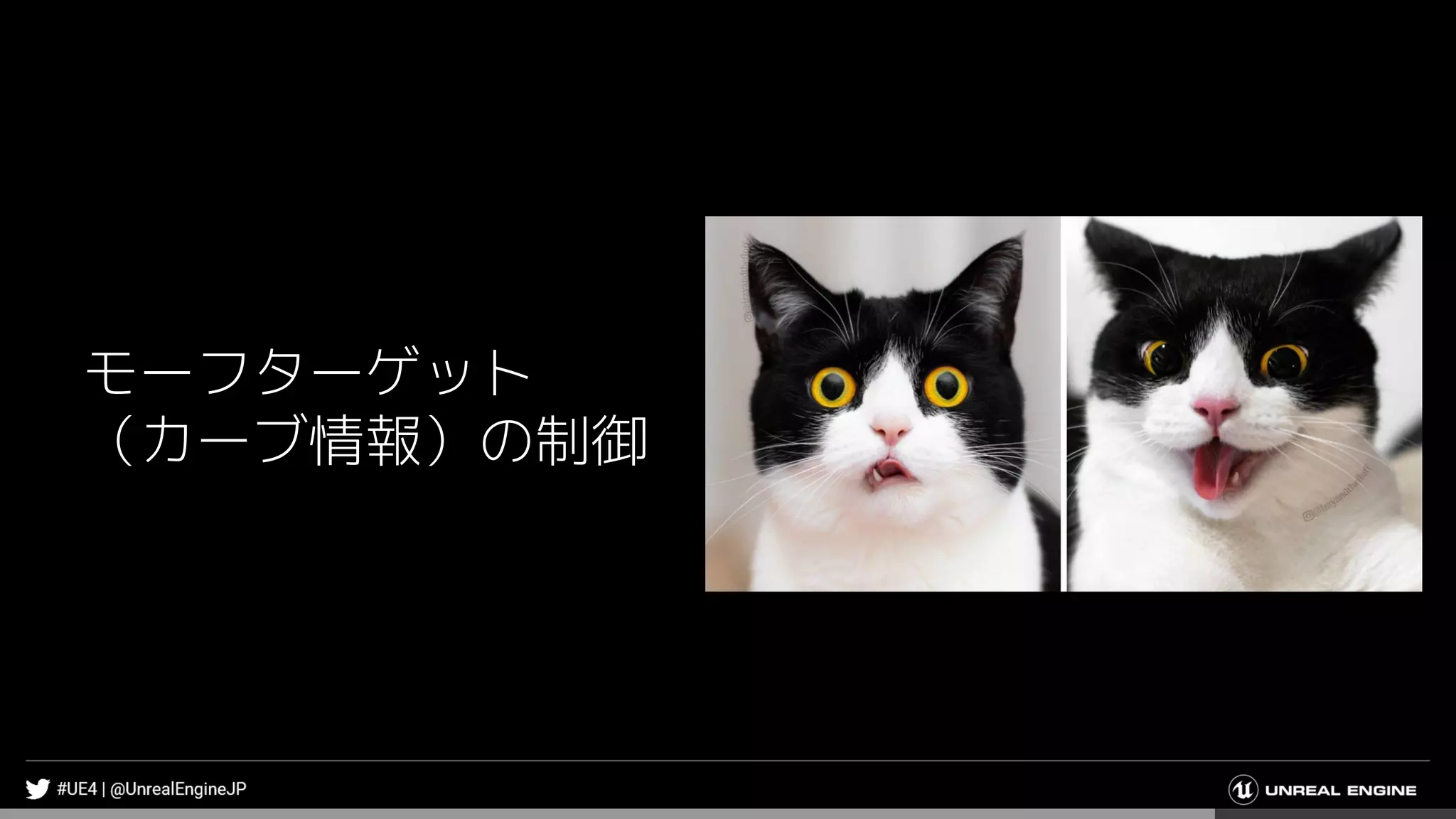 モーフターゲット
（カーブ情報）の制御
 