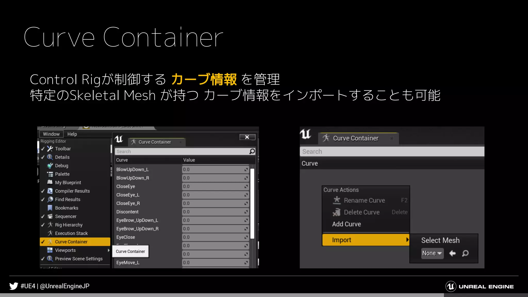 Curve Container
Control Rigが制御する カーブ情報 を管理
特定のSkeletal Mesh が持つ カーブ情報をインポートすることも可能
 