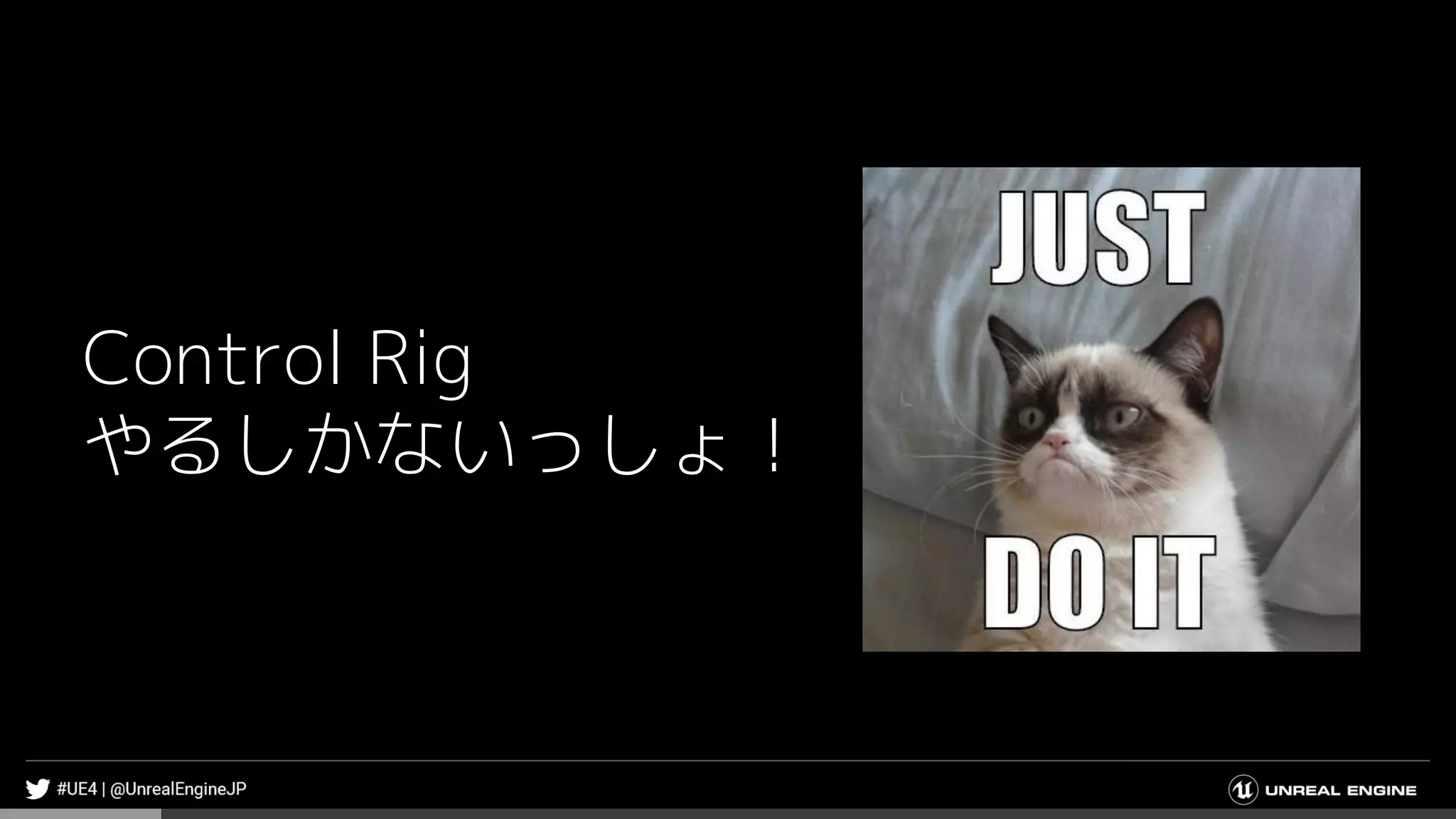 Control Rig
やるしかないっしょ！
 