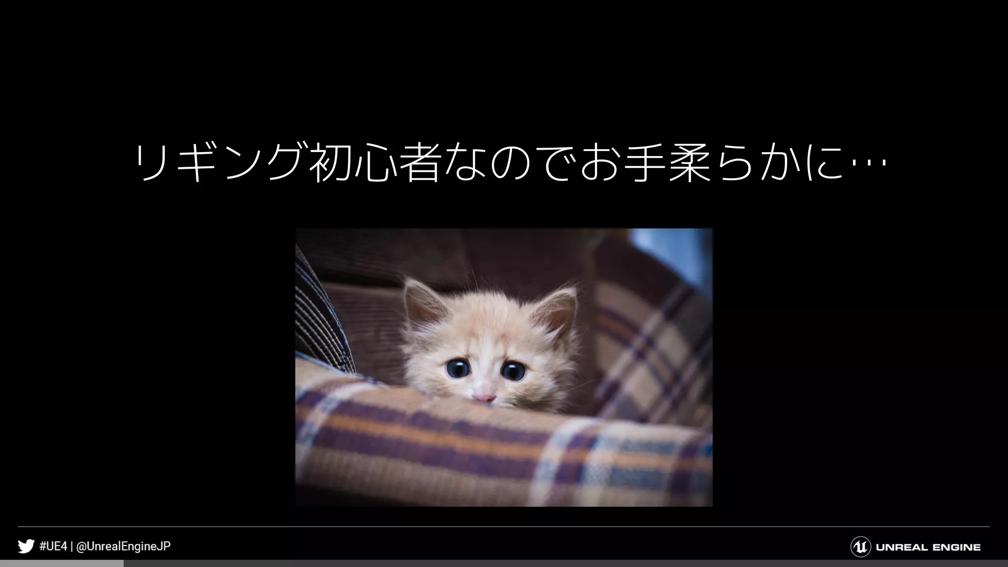 リギング初心者なのでお手柔らかに…
 