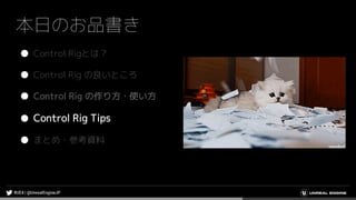 本日のお品書き
● Control Rigとは？
● Control Rig の良いところ
● Control Rig の作り方・使い方
● Control Rig Tips
● まとめ・参考資料
 