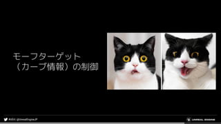 モーフターゲット
（カーブ情報）の制御
 