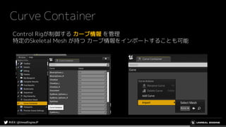 Curve Container
Control Rigが制御する カーブ情報 を管理
特定のSkeletal Mesh が持つ カーブ情報をインポートすることも可能
 
