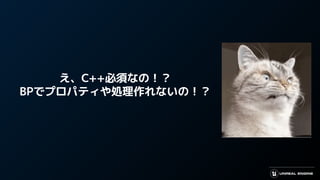 え、C++必須なの！？
BPでプロパティや処理作れないの！？
 