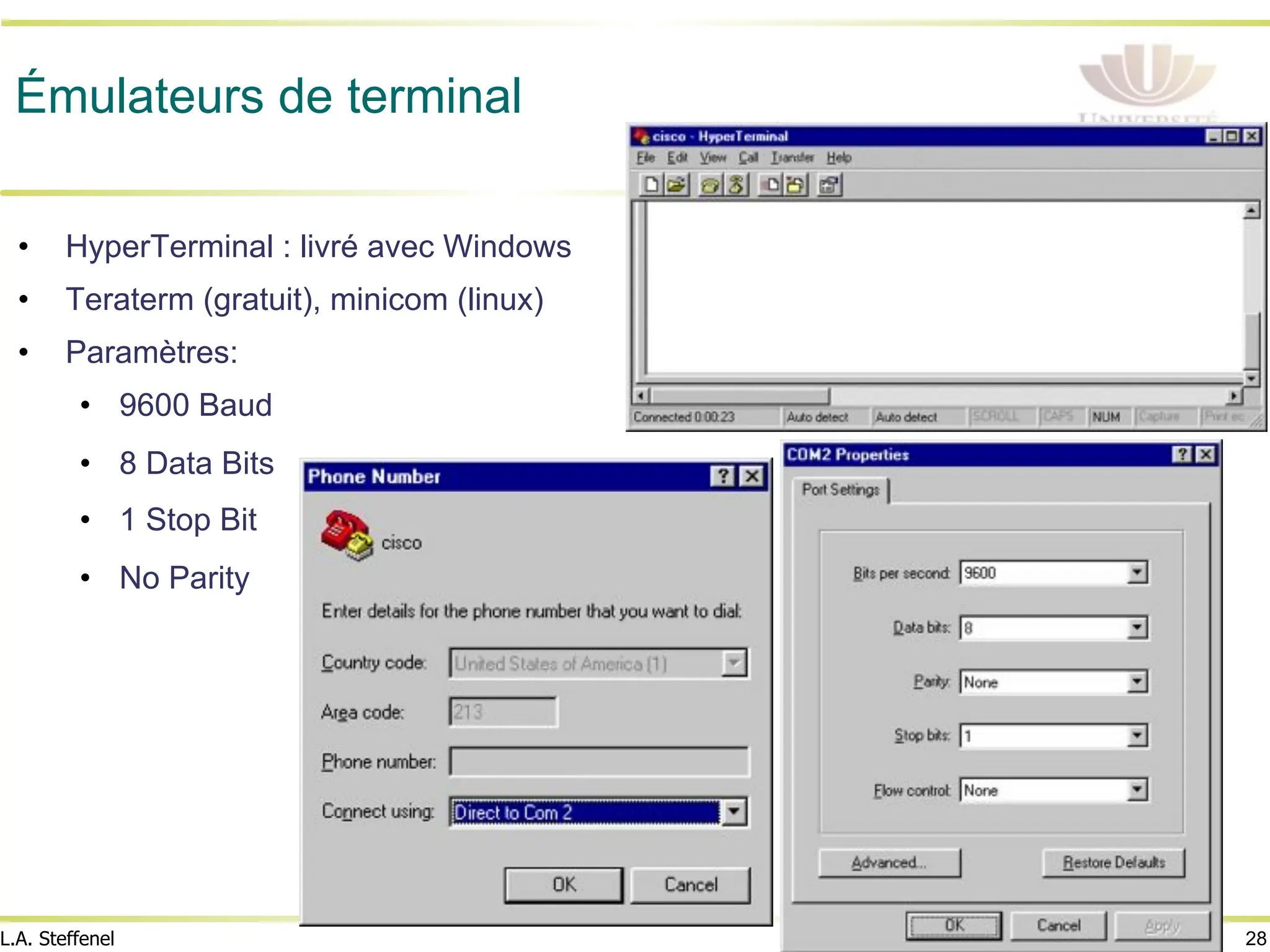 28
L.A. Steffenel
Émulateurs de terminal
• HyperTerminal : livré avec Windows
• Teraterm (gratuit), minicom (linux)
• Paramètres:
• 9600 Baud
• 8 Data Bits
• 1 Stop Bit
• No Parity
 
