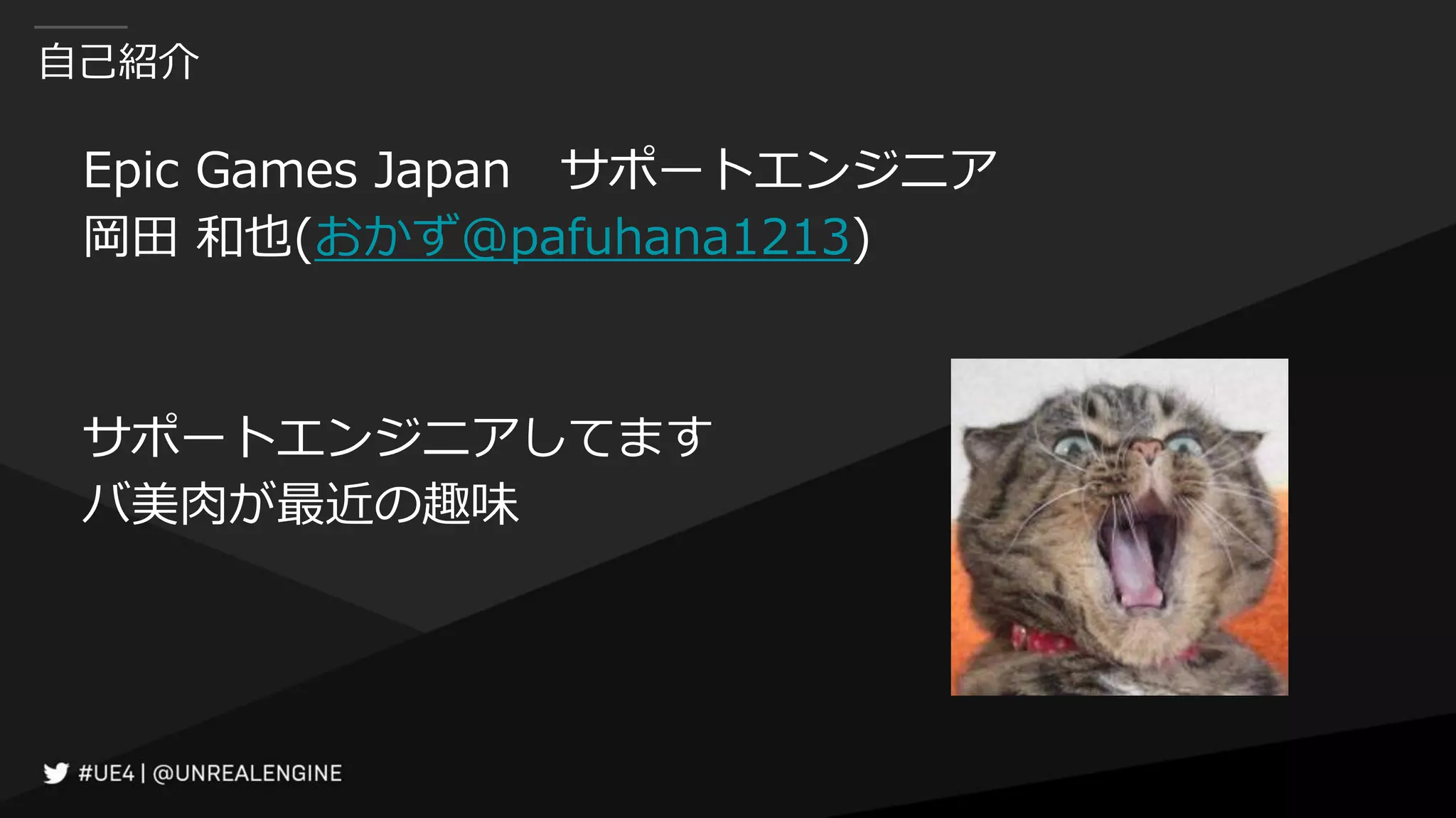 自己紹介
Epic Games Japan サポートエンジニア
岡田 和也(おかず@pafuhana1213)
サポートエンジニアしてます
バ美肉が最近の趣味
 