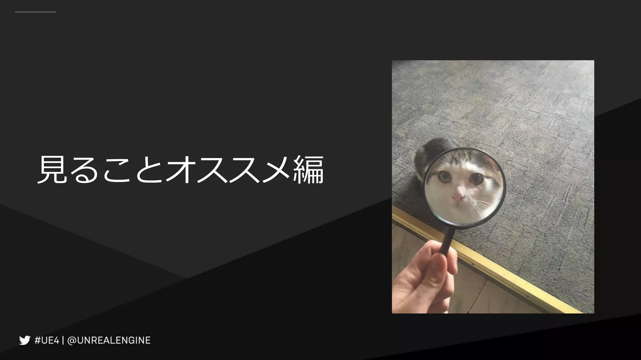 見ることオススメ編
 