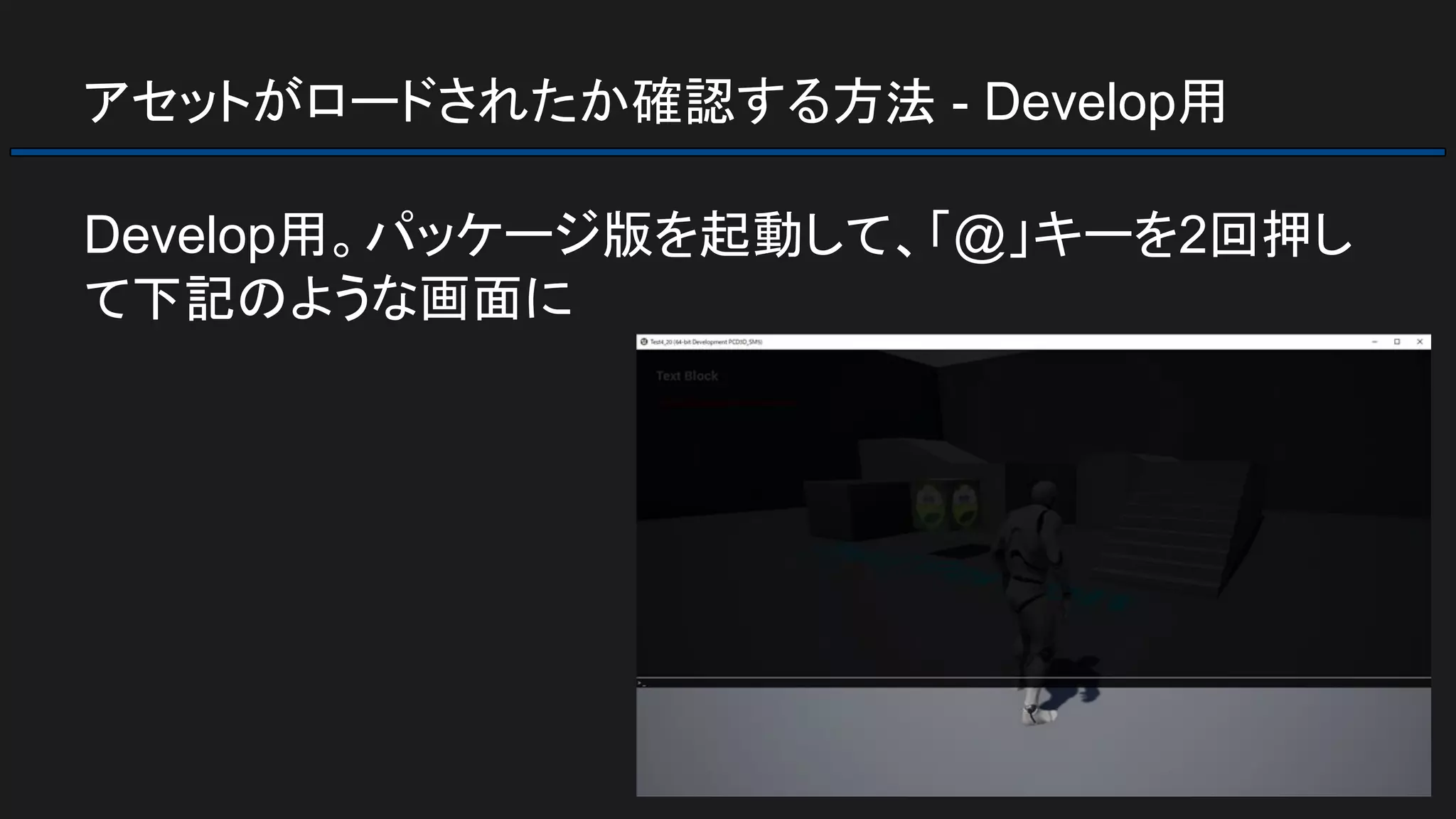 アセットがロードされたか確認する方法 - Develop用
Develop用。パッケージ版を起動して、「@」キーを2回押し
て下記のような画面に
 
