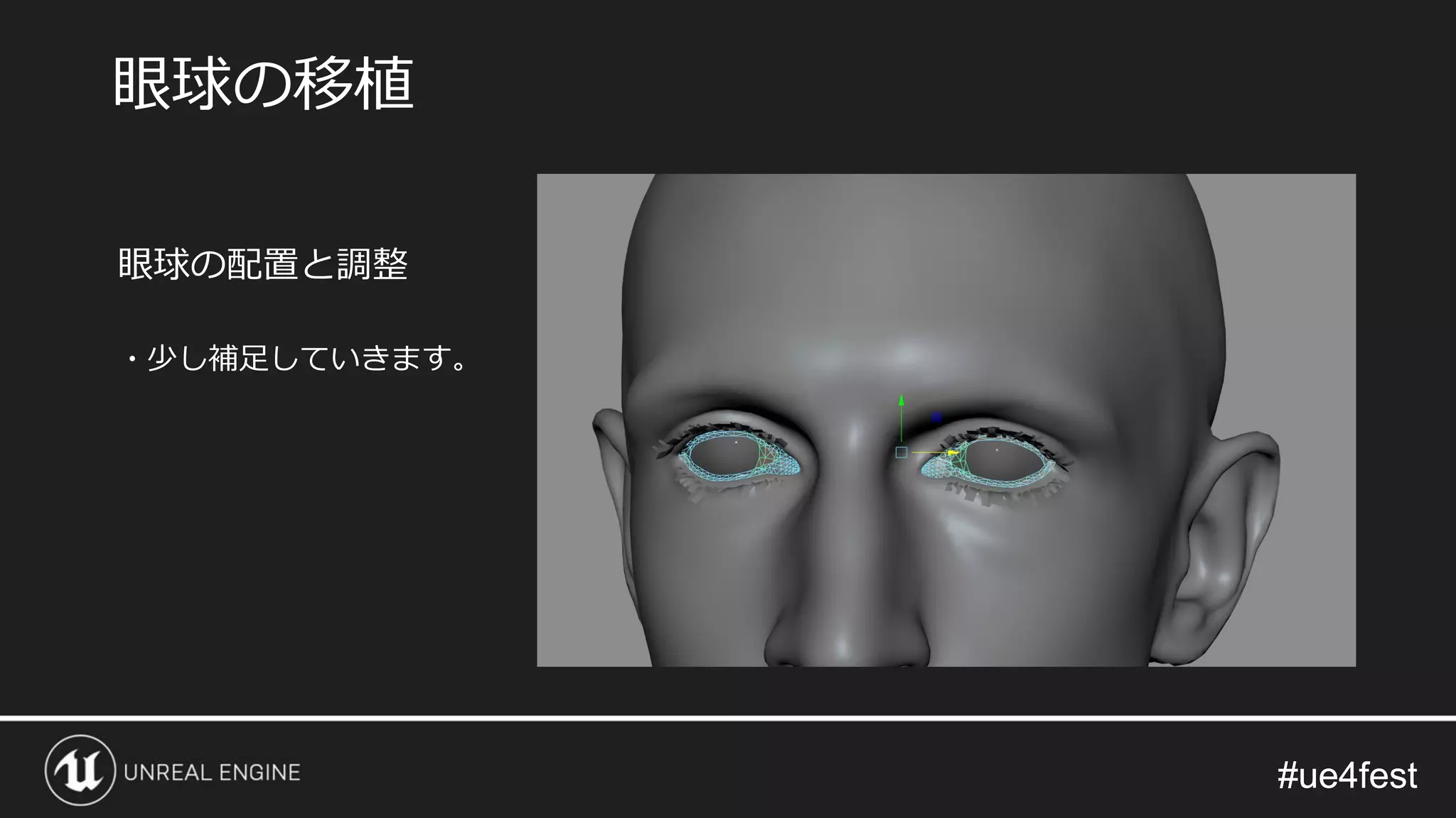 #ue4fest#ue4fest
眼球の配置と調整
・少し補足していきます。
眼球の移植
 