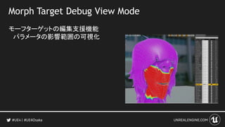Morph Target Debug View Mode
モーフターゲットの編集支援機能
パラメータの影響範囲の可視化
#UE4Osaka
 