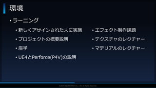 V F X S T U D Y G R O U P©2019 SQUARE ENIX CO., LTD. All Rights Reserved.
• ラーニング
• 新しくアサインされた人に実施
• プロジェクトの概要説明
• 座学
• UE4とPerforce(P4V)の説明
環境
• エフェクト制作課題
• テクスチャのレクチャー
• マテリアルのレクチャー
 