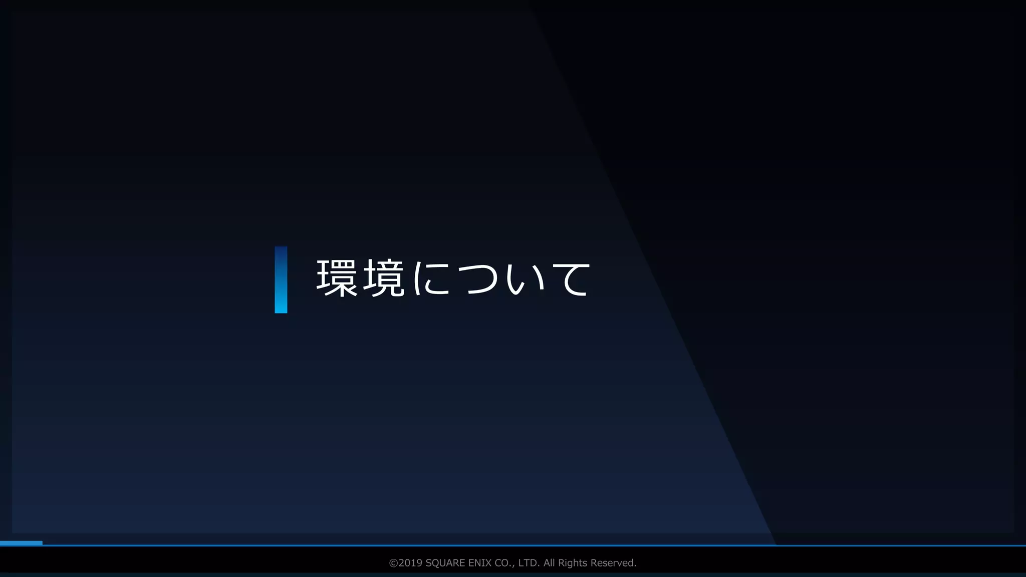 V F X S T U D Y G R O U P©2019 SQUARE ENIX CO., LTD. All Rights Reserved.
環境について
 