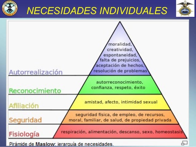 Individuos Y Grupos Que Comparten Necesidades