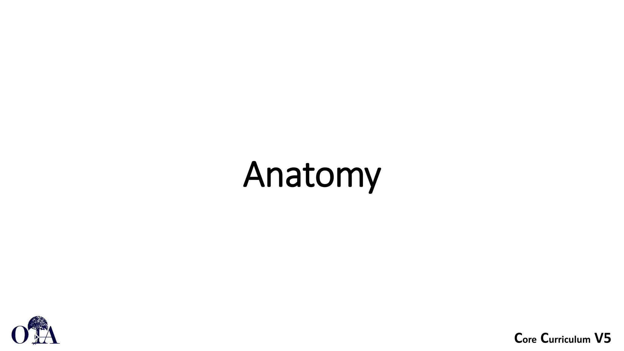 Core Curriculum V5
Anatomy
 