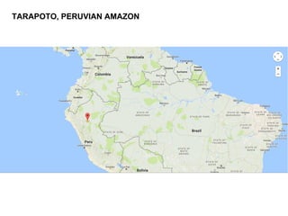 TARAPOTO, PERUVIAN AMAZON
 
