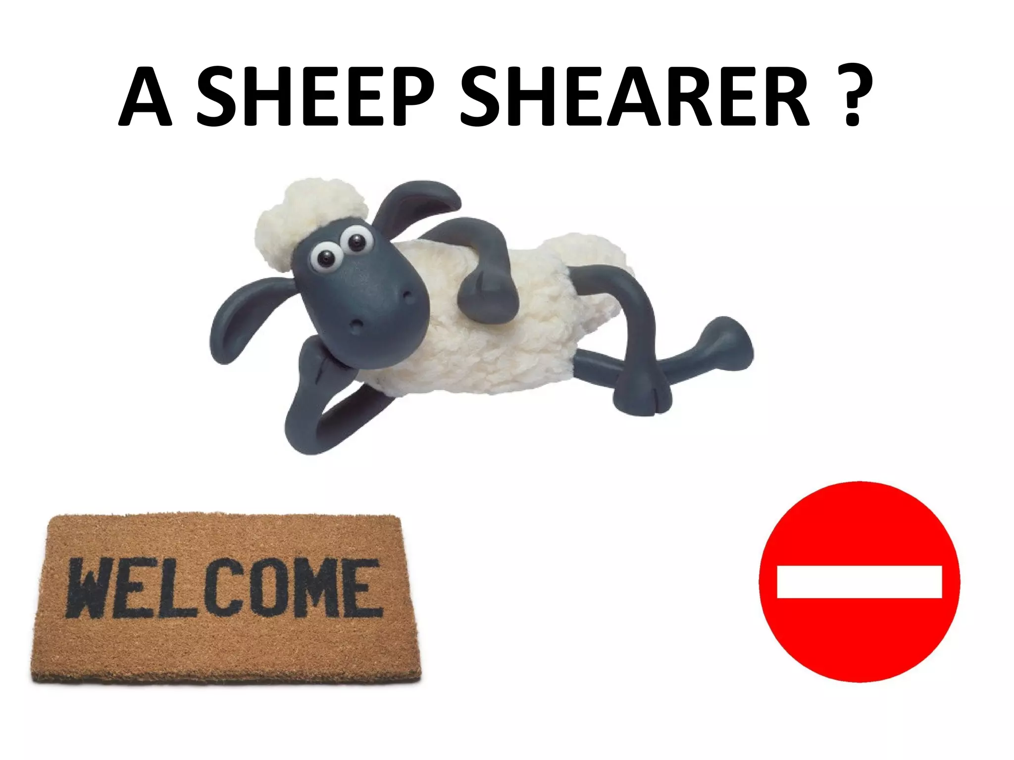A SHEEP SHEARER ?  