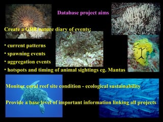 Database project aims


Create a GBR nature diary of events:

• current patterns
• spawning events
• aggregation events
• hotspots and timing of animal sightings eg. Mantas


Monitor coral reef site condition - ecological sustainability


Provide a base level of important information linking all projects
 