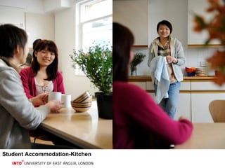 Student Accommodation-Kitchen 