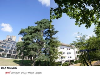 UEA Norwich 