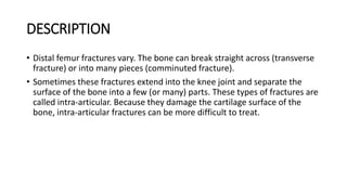 DESCRIPTION
• Distal femur fractures vary. The bone can break straight across (transverse
fracture) or into many pieces (comminuted fracture).
• Sometimes these fractures extend into the knee joint and separate the
surface of the bone into a few (or many) parts. These types of fractures are
called intra-articular. Because they damage the cartilage surface of the
bone, intra-articular fractures can be more difficult to treat.
 