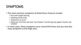 SYMPTOMS
• The most common symptoms of distal femur fracture include:
• Pain with weight bearing
• Swelling and bruising
• Tenderness to touch
• Deformity: the knee may look "out of place" and the leg may appear shorter and
crooked
• In most cases, these symptoms occur around the knee, but you may also
have symptoms in the thigh area.
 