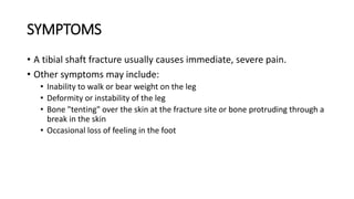 SYMPTOMS
• A tibial shaft fracture usually causes immediate, severe pain.
• Other symptoms may include:
• Inability to walk or bear weight on the leg
• Deformity or instability of the leg
• Bone "tenting" over the skin at the fracture site or bone protruding through a
break in the skin
• Occasional loss of feeling in the foot
 