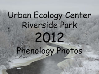 Urban Ecology Center
Riverside Park

2012

Phenology Photos

 