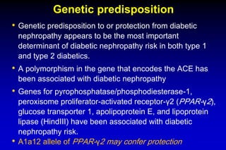 Ueda2015 diabetic nephropathy dr.ashraf talaat | PDF