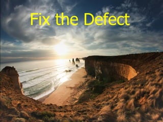 Fix the Defect
 