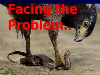 Facing the
Problem..
 